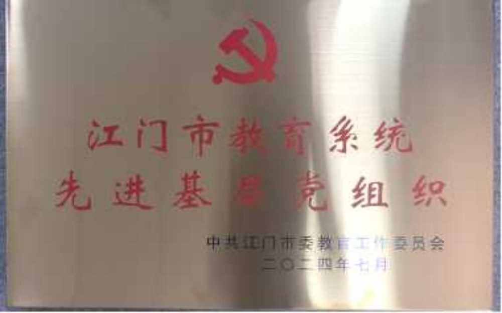 市级先进基层党组织